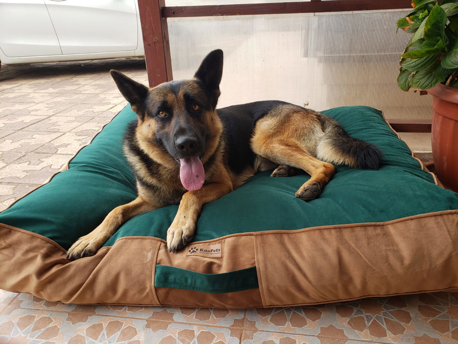 Animal Cama Para Perro Pastor Aleman Cama Para Perros Modelo