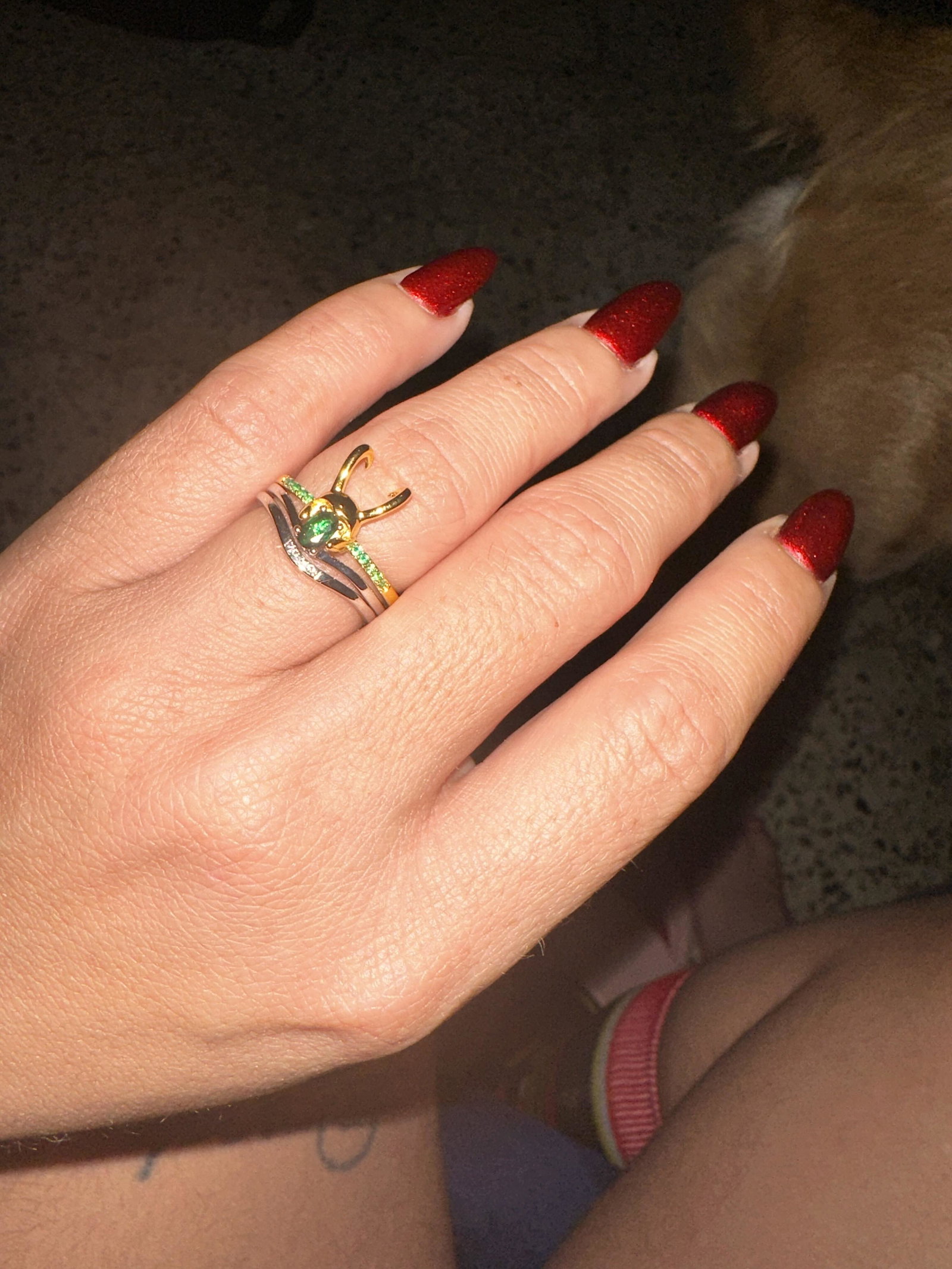 Foto de Paloma