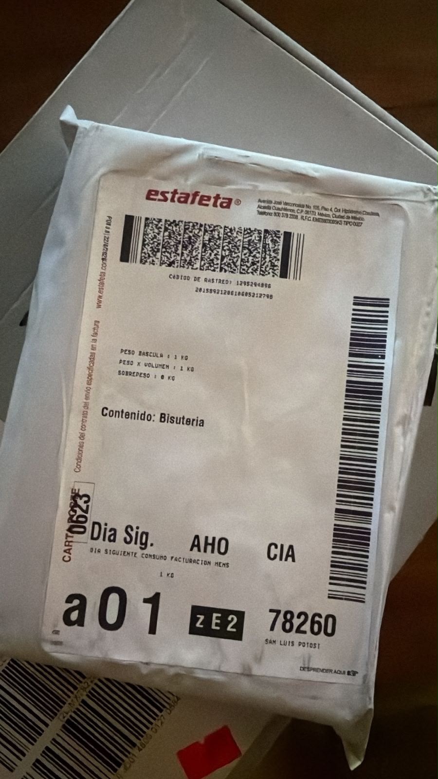 Foto de Alan