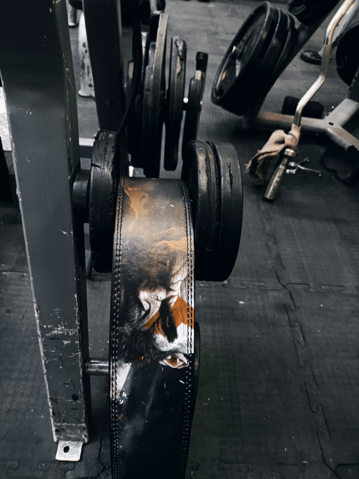 Foto de reseña de Armando